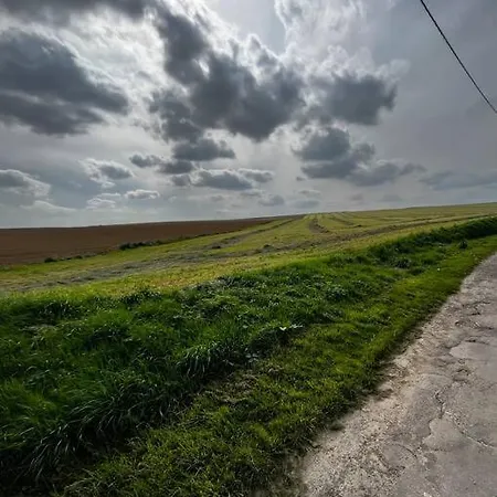 アパート Sept Fontaines * Jacuzzi & Sauna Hannut