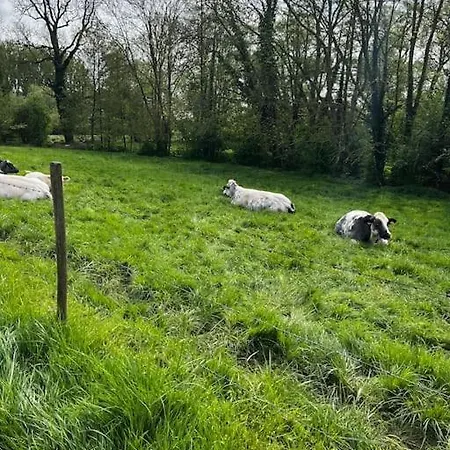 Sept Fontaines * Jacuzzi&sauna * Hannut